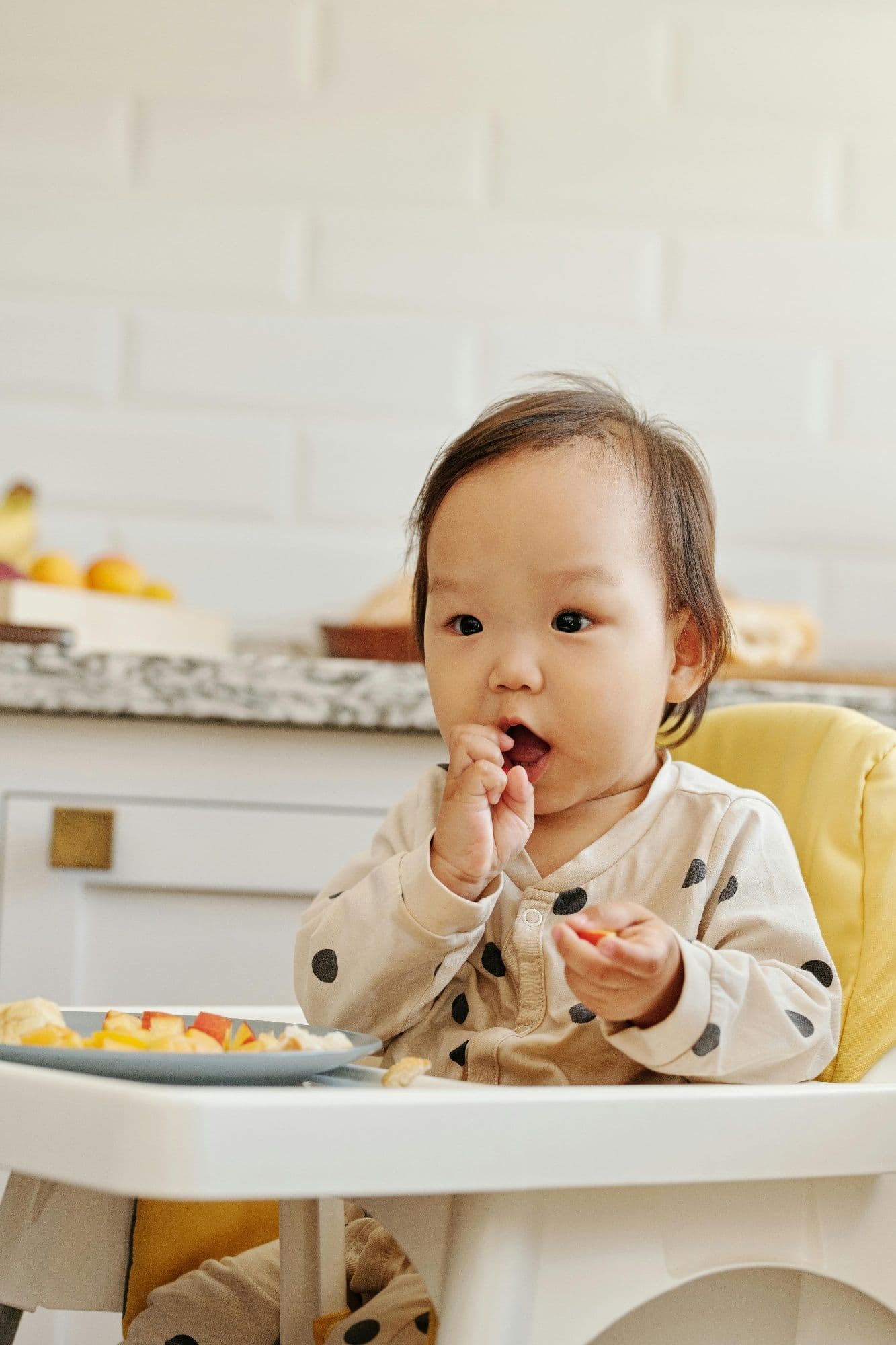Baby Food Maker, with Glass Blender