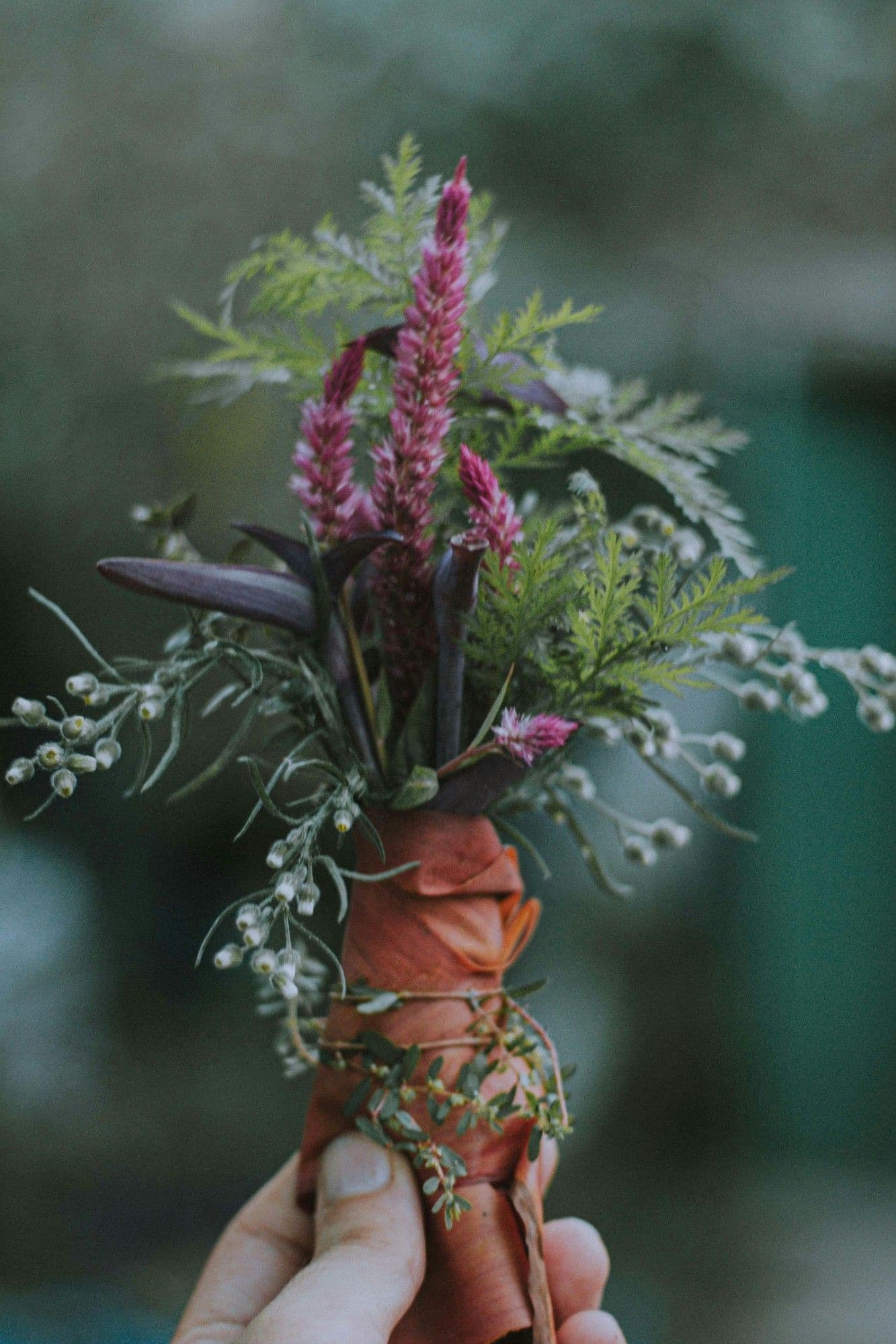 Botanicals