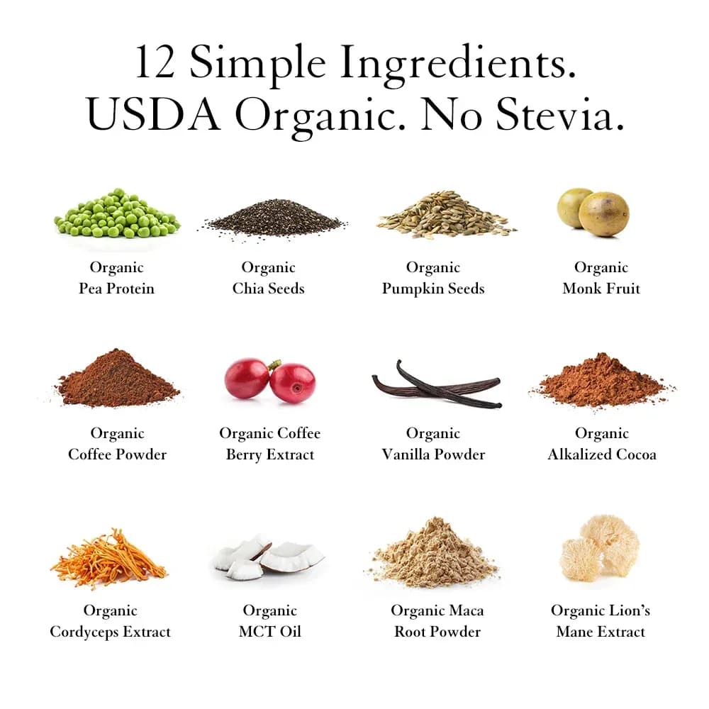 Clean Plant Protein + Energy